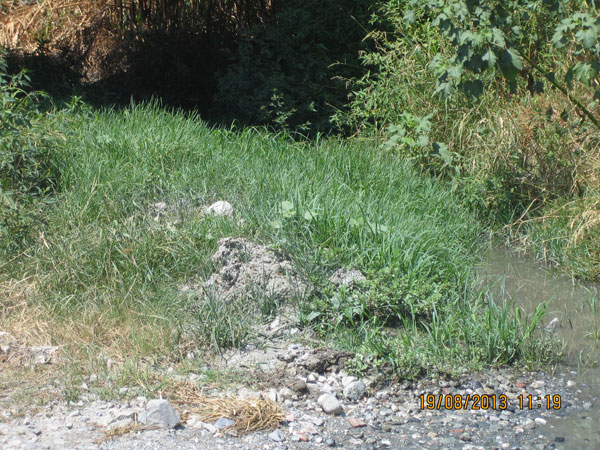 liquami-nocera-agosto-2013.jpg