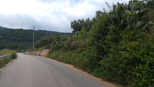 Lamezia, Noi con Salvini: “Località Spartà invasa dai rovi”