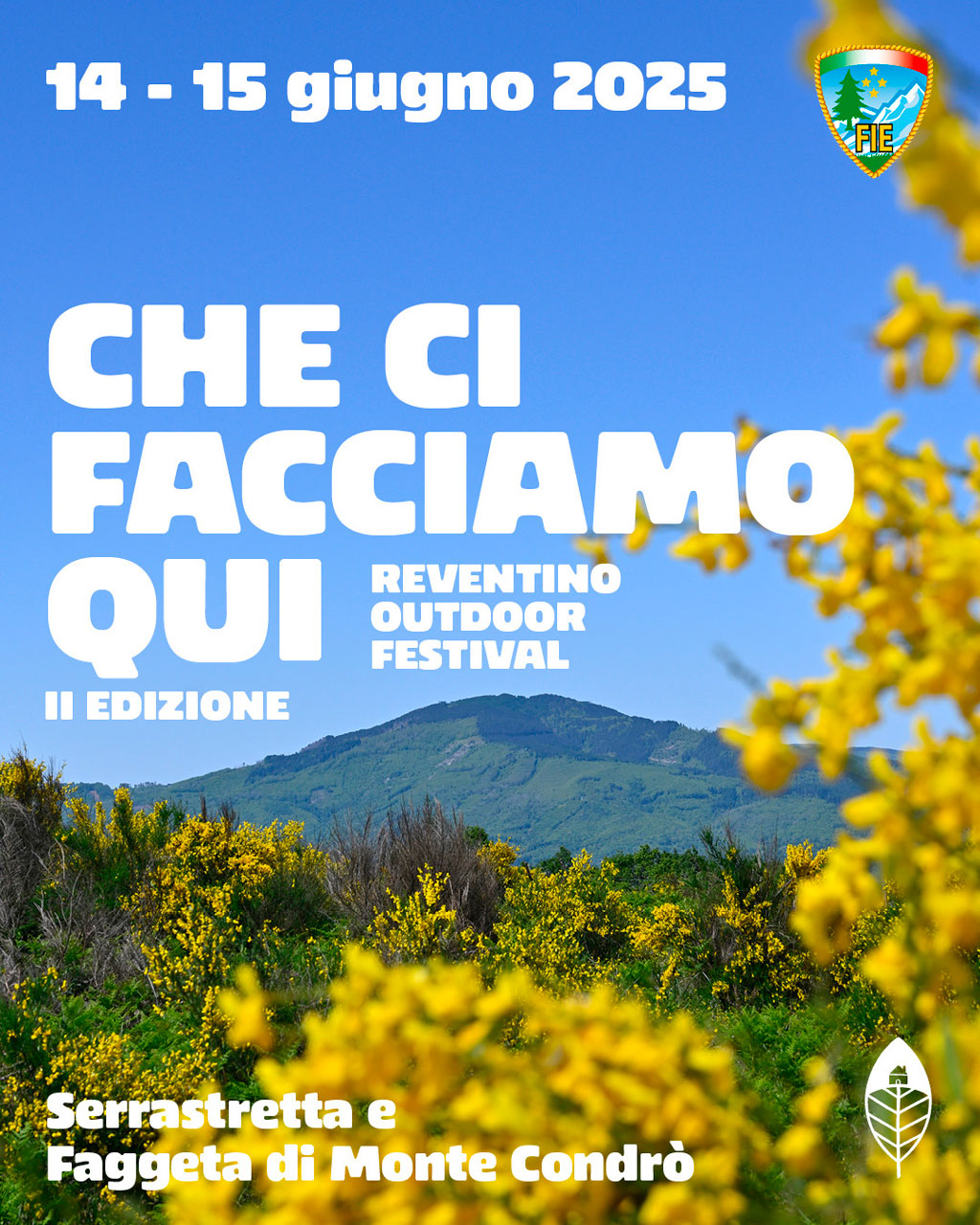 locandina-festival-_debd1.jpg