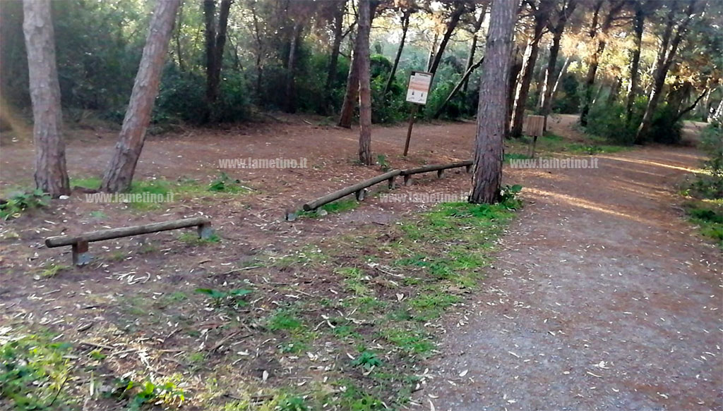 lungomare-falcone-borsellino-lamezia-31319-pineta-ok.jpg