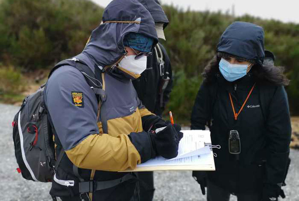 Lupo, anche in Parco Aspromonte progetto per monitoraggio specie 