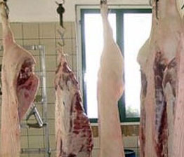 Calabria: Nas sequestrano macello comunale Fuscaldo
