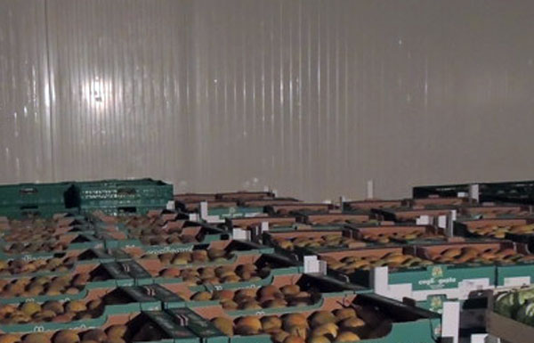 Rubavano in azienda agricola, due arresti nel cosentino