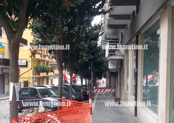 magnolie-via-xx-settembre-bis.jpg