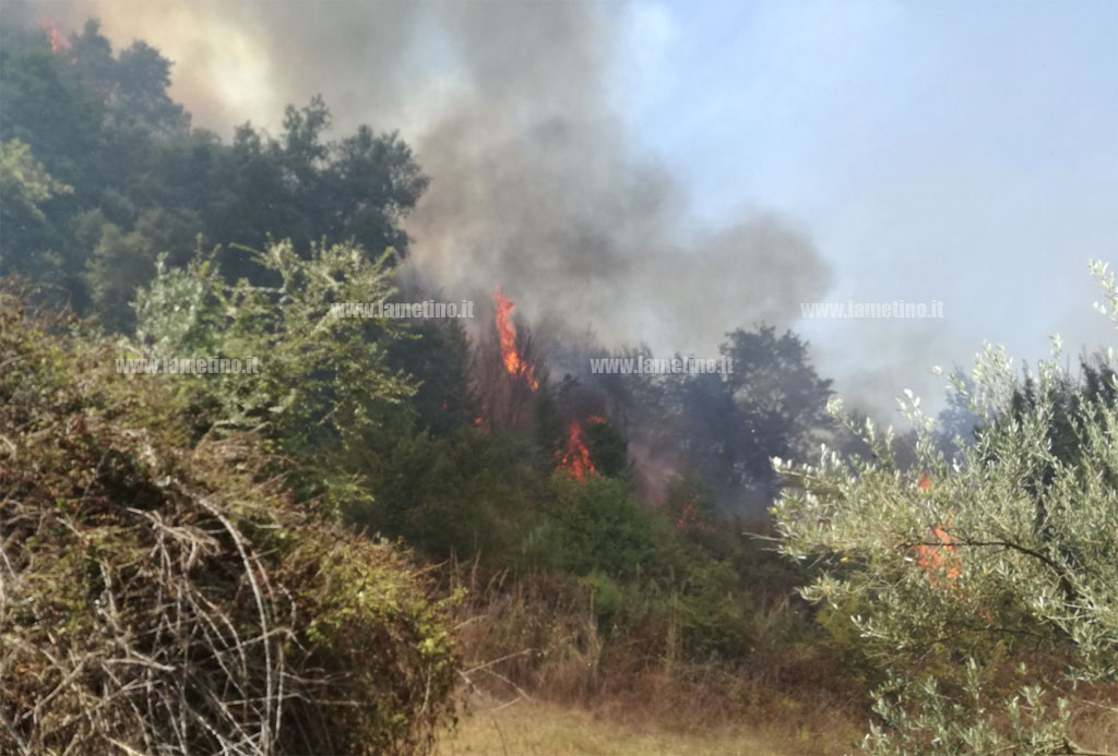 Rischio frane dopo incendi: Protezione Civile mette in guardia 82 sindaci calabresi, anche del lametino