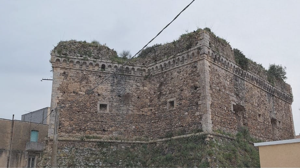 maida_4914c.jpg