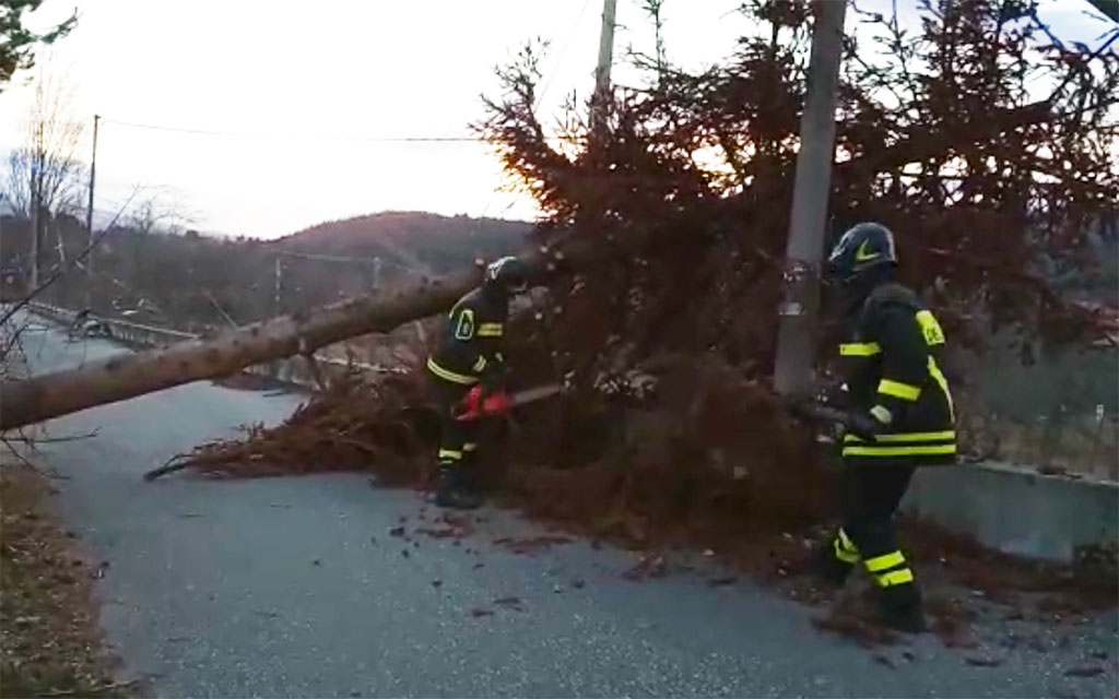 Forti raffiche di vento in Calabria: alberi caduti e cavi tranciati, numerosi interventi dei vigili del fuoco