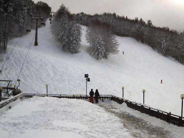 maltempo-camiglitaello-neve-8feb.jpg