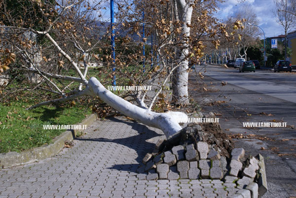 maltempo_albero_viaperugini
