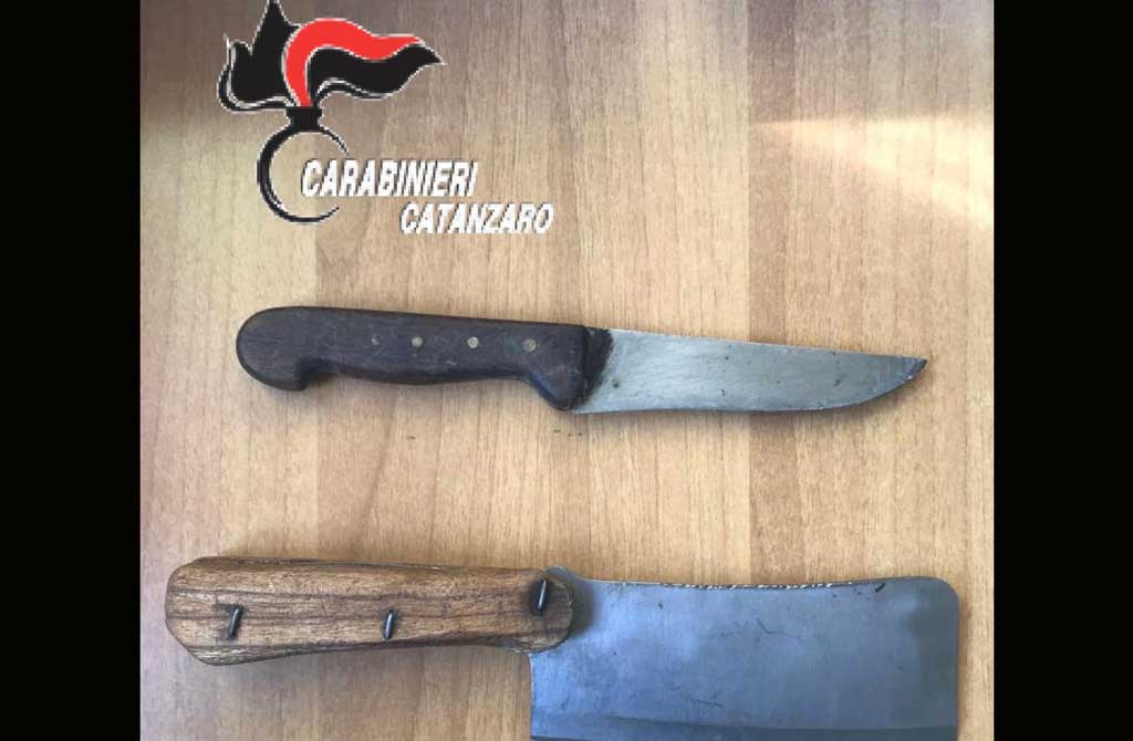Aggredisce familiari brandendo una mannaia, arrestato 28enne a Borgia