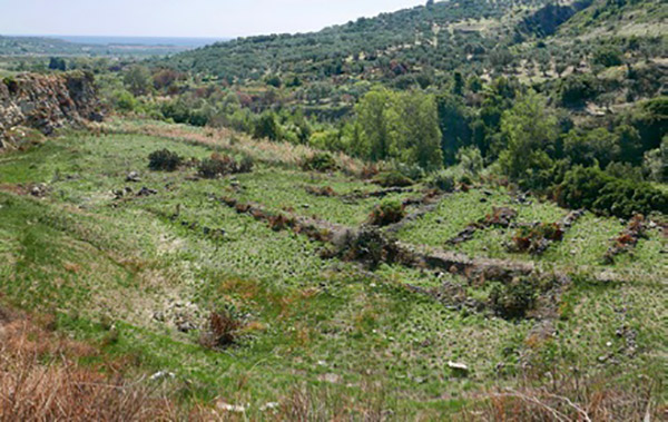 Ruderi di probabile epoca Cassiodorea scoperti a Squillace