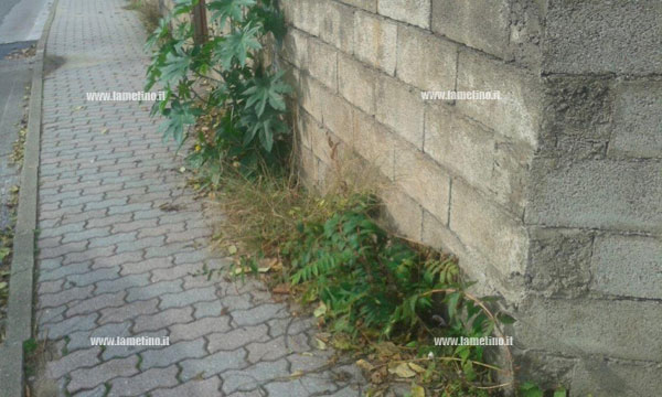 manuntezione-strade-segnalazioni-lamezia-3.jpg