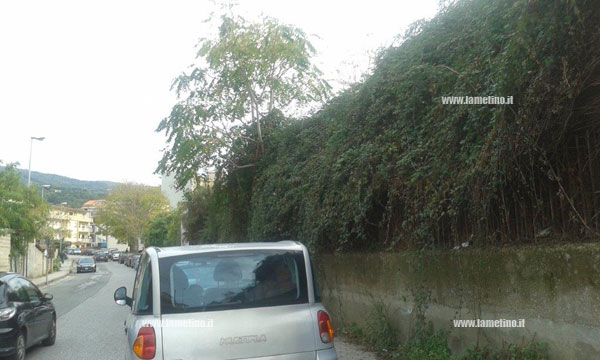 manuntezione-strade-segnalazioni-lamezia-4.jpg