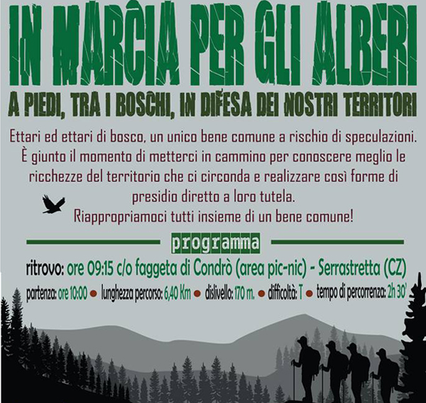 Venerdì 12 agosto iniziativa ‘In marcia per gli alberi’ a Serrastretta