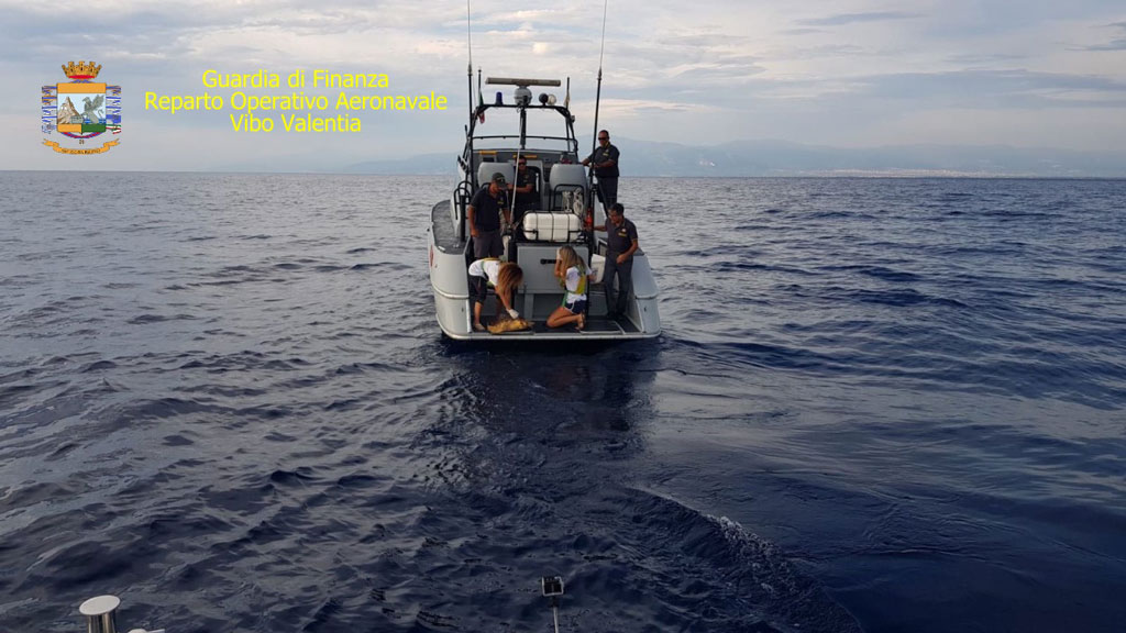 mare-08242018-102903.jpg
