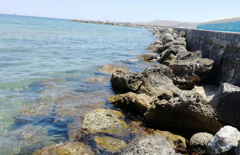 Microalghe potenzialmente tossiche sulle coste calabresi, pubblicato il report Arpacal