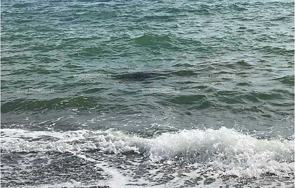mare-cafarone-020619.jpg