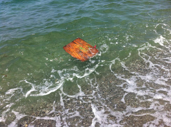 mare-gizzeria-13-luglio-2015.jpg