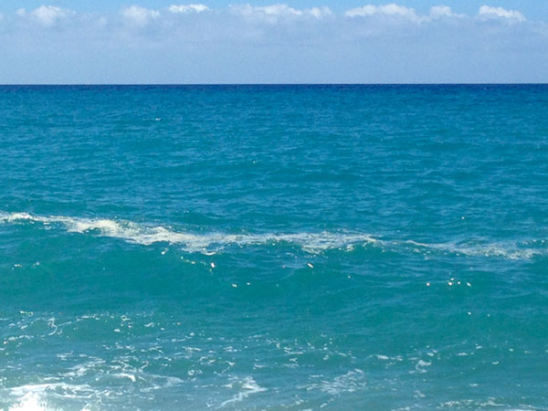 Scie marroni in acqua a Nocera Terinese
