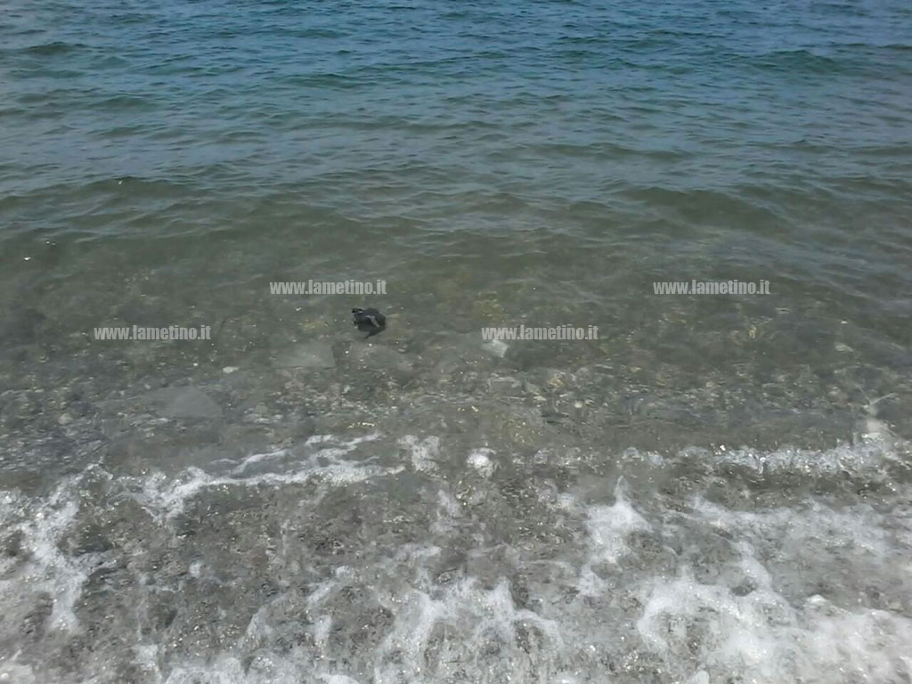 mare-rifiuti-22-l.jpg