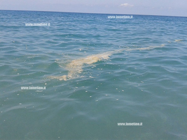 mare-sporco-6-luglio-2014-2.jpg