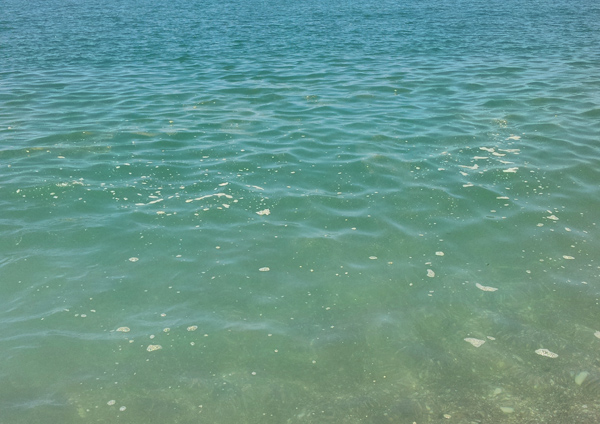 Lamezia: Ancora segnalazioni di mare sporco sul Tirreno