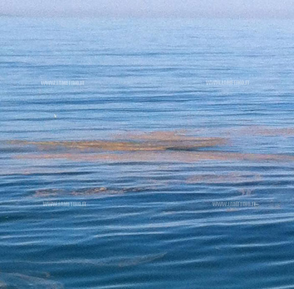 mare-sporco-maggio-.jpg
