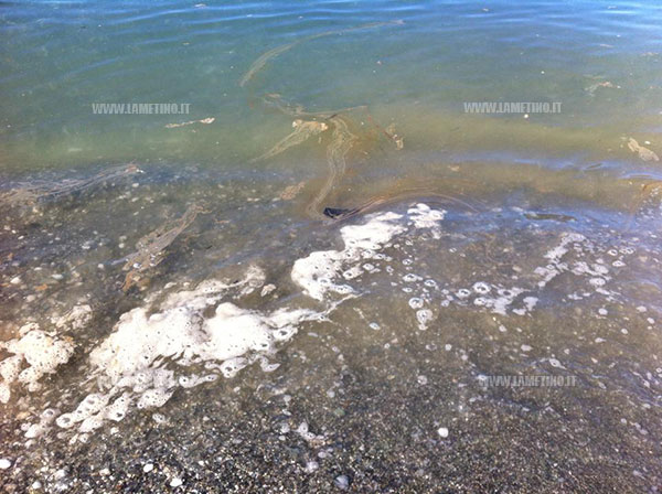 Lamezia, amministrazione comunale invita cittadini a segnalare fenomeni di scarico a mare
