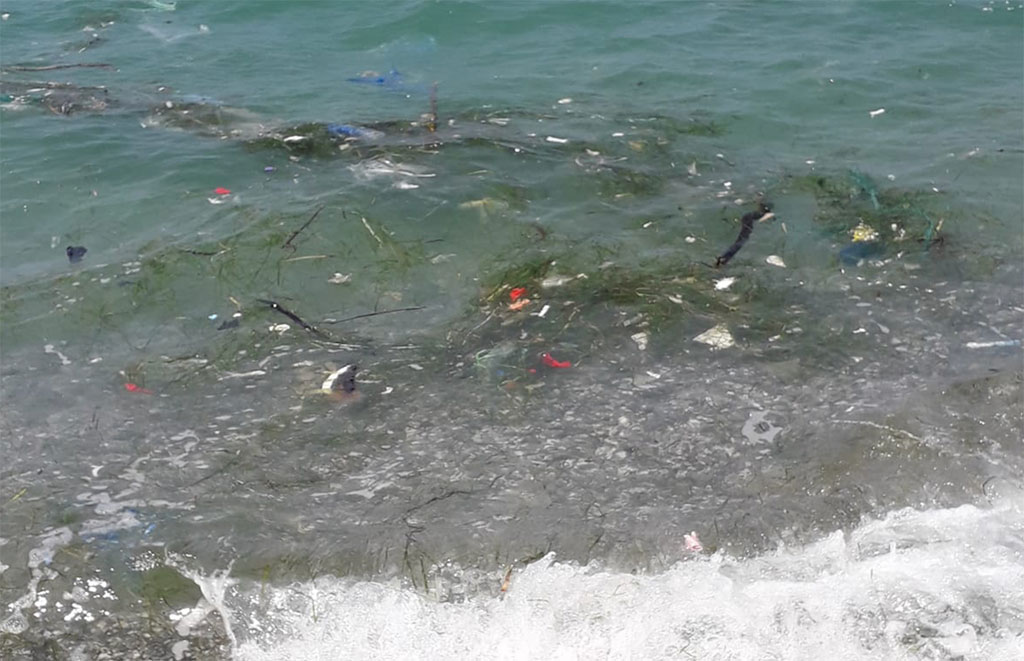 Lamezia, Italia Nostra segnala mare sporco alla Marinella: "Vi galleggia di tutto"