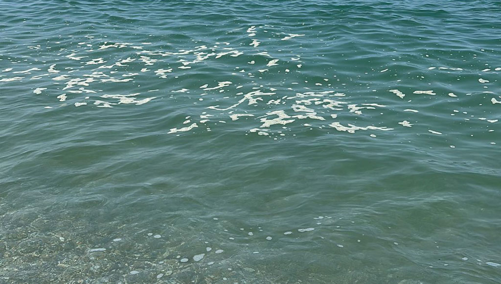 mare-sporco-pinetamare2_762a3.jpg