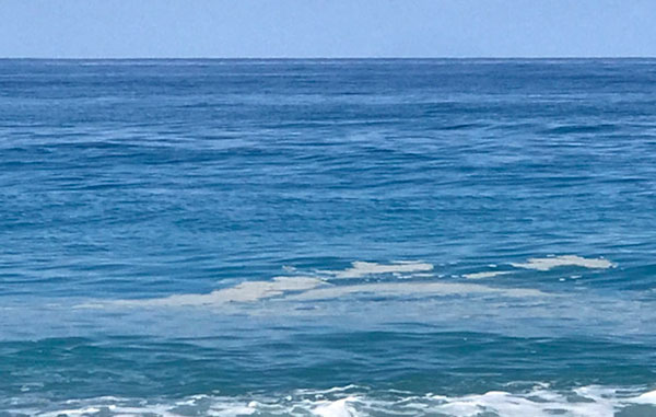 Mare sporco, vertice delle procure di Lamezia e Vibo: iniziati i prelievi nel Tirreno per verificare cause dell’inquinamento