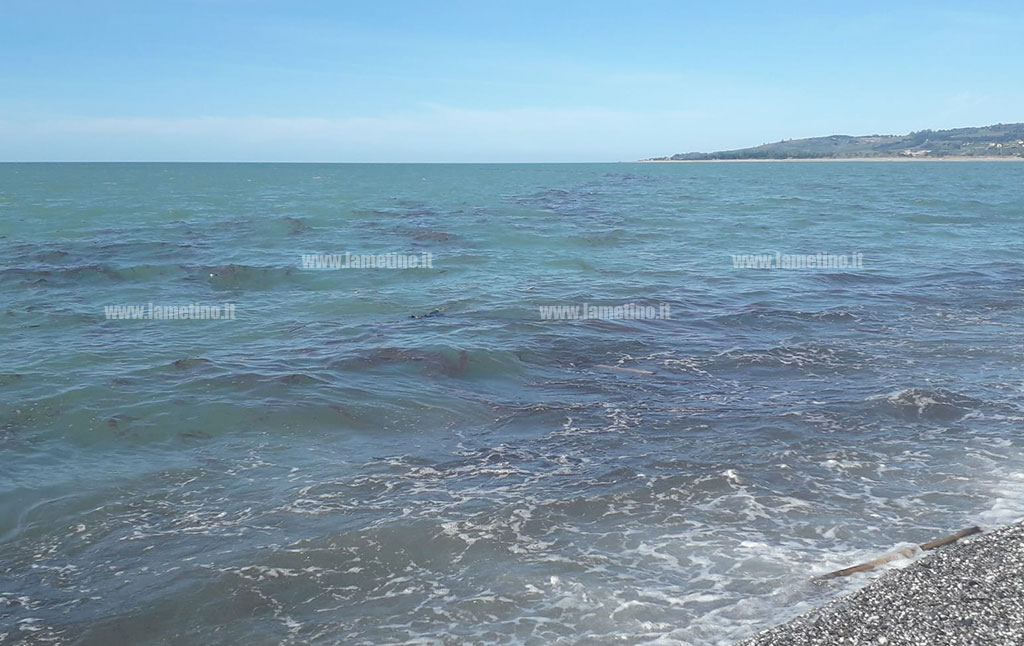 mare-sporcob298898c2.jpg