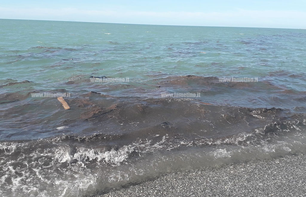 Lamezia, chiazze marroni in mare: la preoccupazione dei cittadini - Video