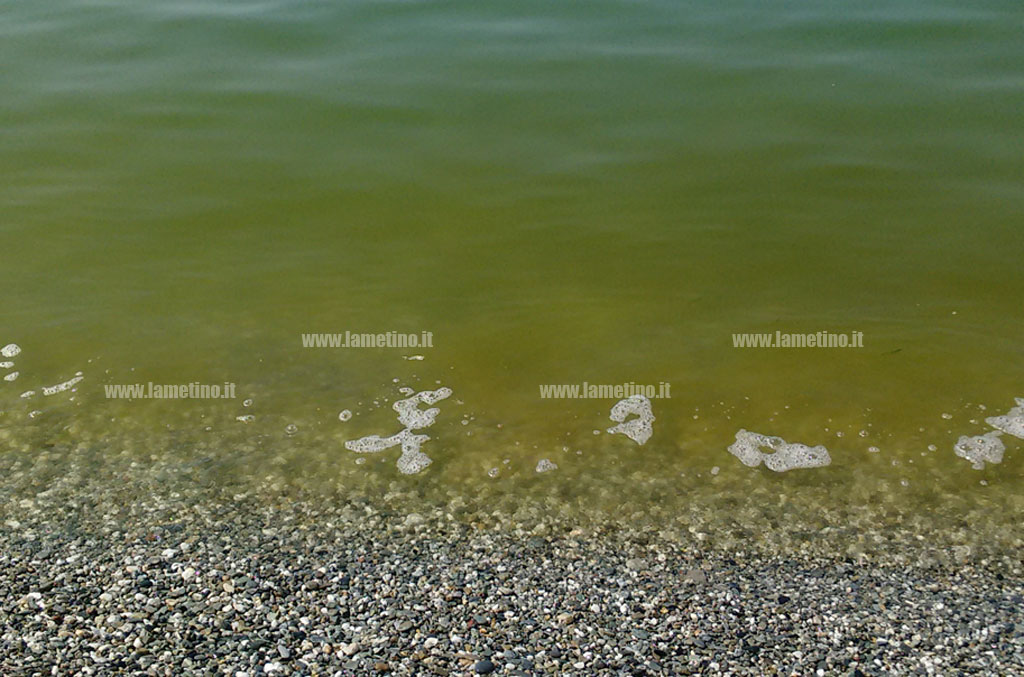 mare-verde-ok.jpg