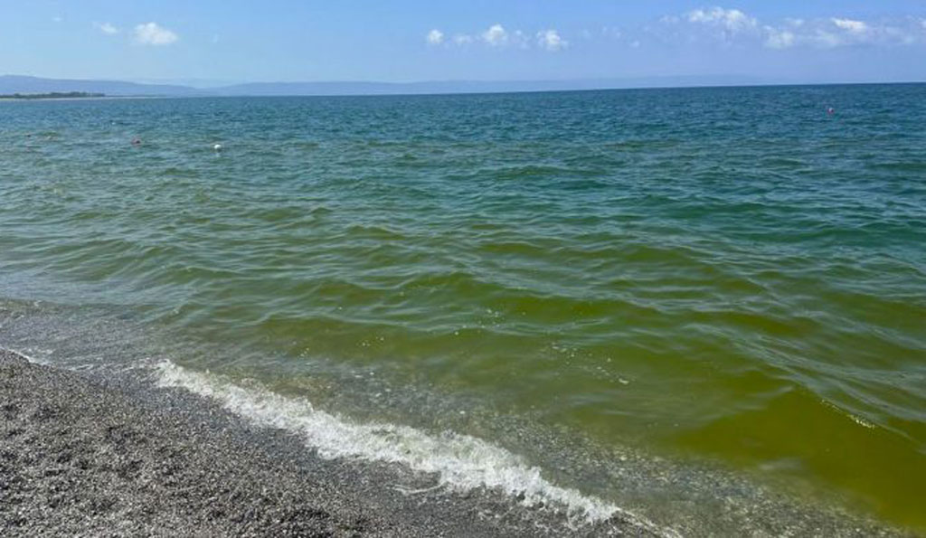 Lamezia, lettera aperta di D’Amico al sindaco su mare sporco: “Chiederemo consiglio comunale congiunto con altre amministrazioni”