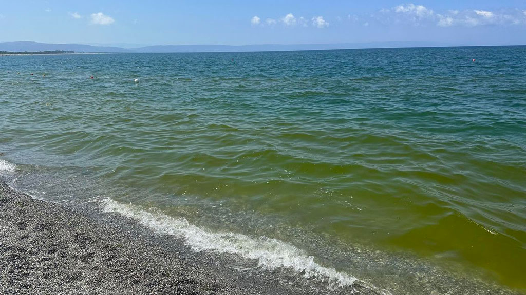 Lamezia,  Materazzo (Azione): "Mozione per progetto contro inquinamento golfo è segno di attenzione"