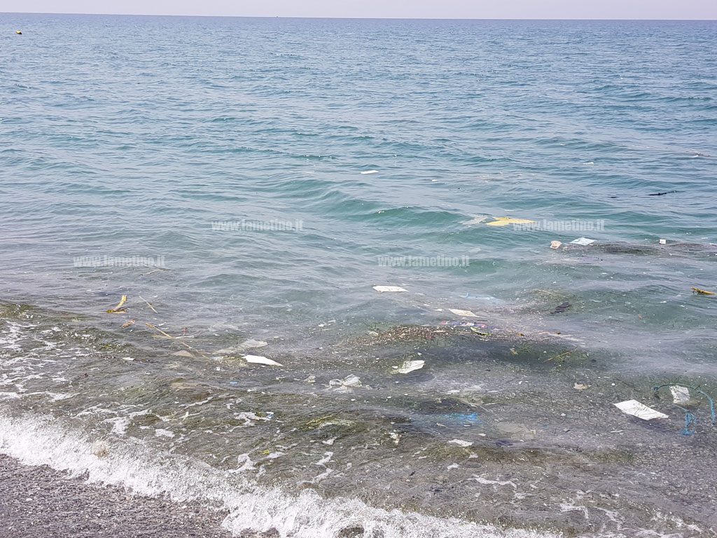 maresporco12018.jpg