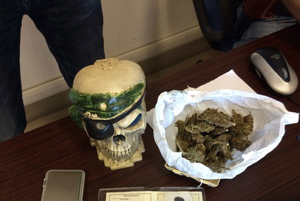 Marijuana in un portaoggetti a forma di teschio, ai domiciliari 18enne di Serra San Bruno