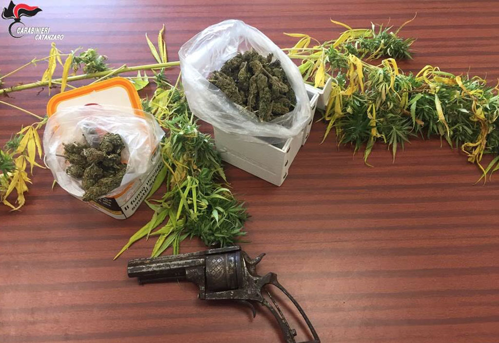 Scoperta piantagione di marijuana a Girifalco, un arresto e tre denunce