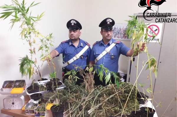 Controlli contro spaccio stupefacenti: minorenne trovato con marijuana a Vallefiorita