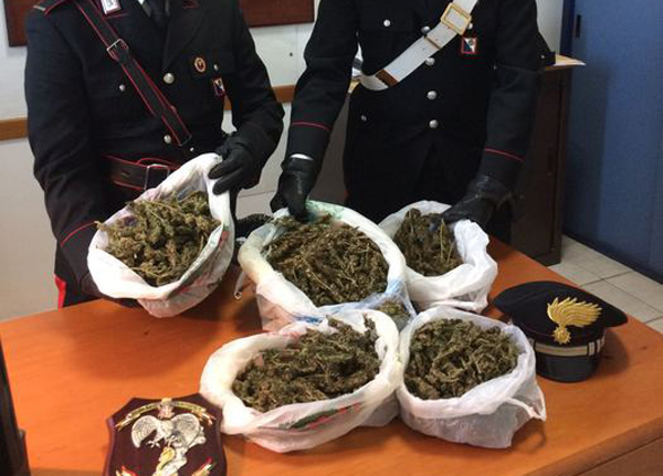 Nascondeva in casa 1,4 kg di marijuana, arrestato a Rosarno