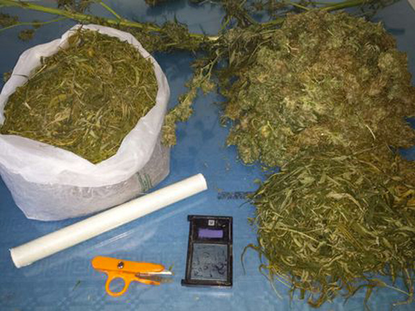 Calabria: Un chilo di marijuana in casa, arrestati due fratelli 