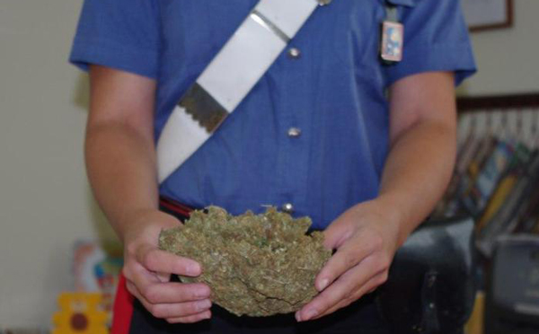 Aveva oltre 700 grammi di marijuana in casa, arrestato nel reggino