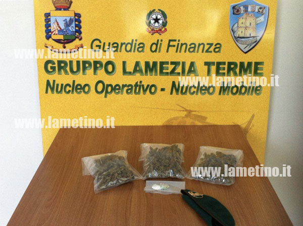 marijuana-e-cocaina-gdf-lamezia-2013.jpg
