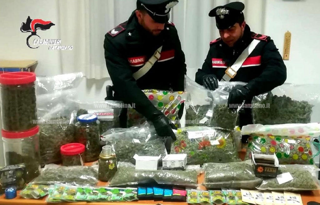 Lamezia, vendeva cannabis light con nomi di donna, solo "Teresa" era a norma di legge: arrestato 32enne 