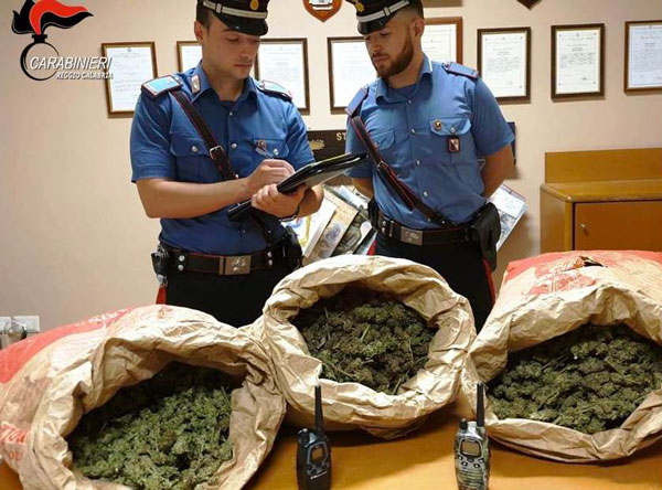 Dicono di avere funghi nel bagagliaio ma carabinieri trovano 9kg di marijuana, arrestati nel reggino