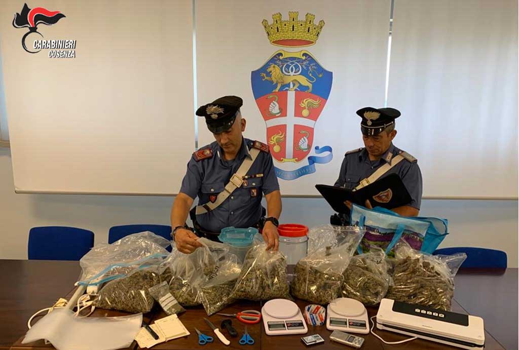 Sorpreso con 2 kg di marijuana in casa, arrestato 32enne a Rende