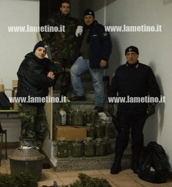 Calabria: Carabinieri arrestano uomo per coltivazione e spaccio stupefacenti