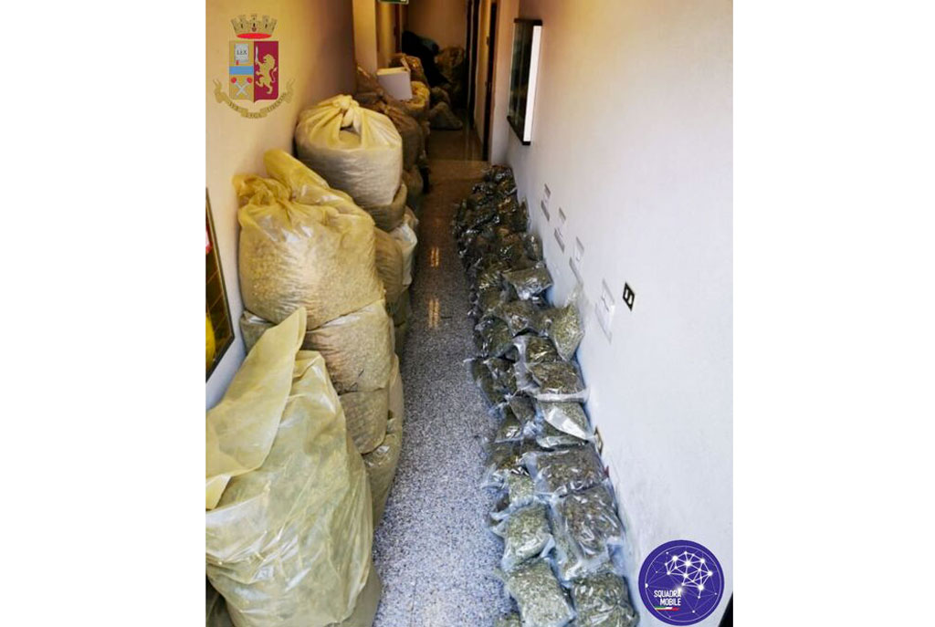Aveva in casa mezza tonnellata di marijuana, arrestato a Serra San Bruno