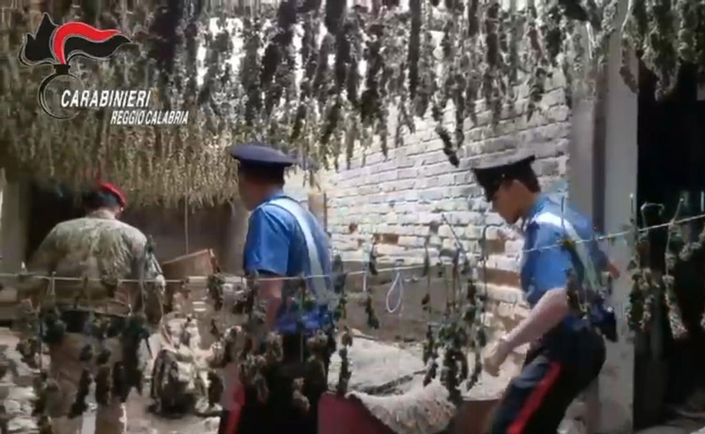 Aveva sepolto 2 quintali di marijuana in bidoni interrati a Taurianova, condannato definitivamente